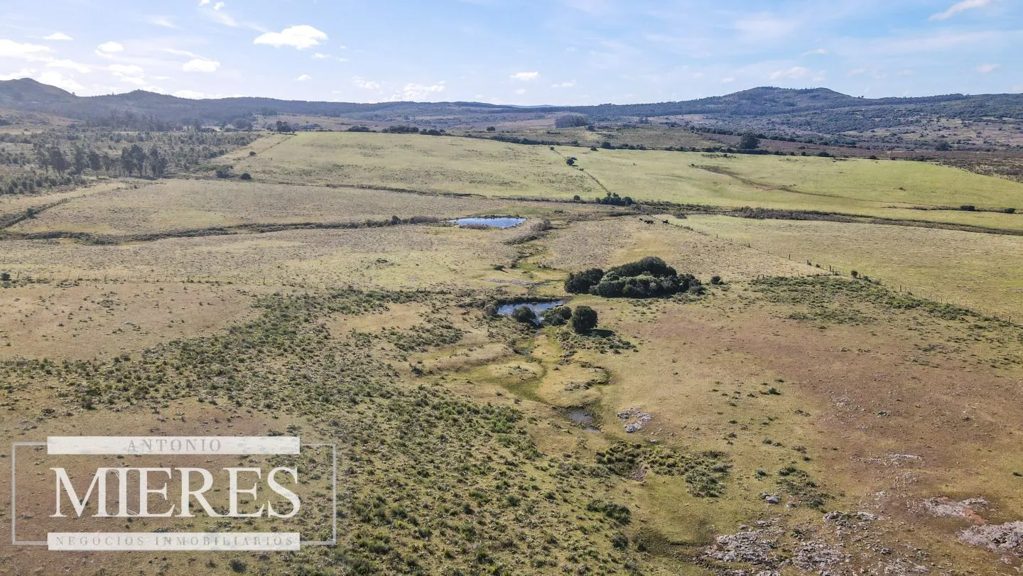 Campo en venta de 33 ha a 6 km de Pan de Azúcar — foto 22