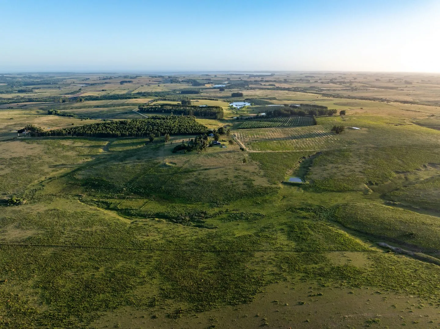 Chacra / Campo 93 ha en Laguna José Ignacio — foto 2