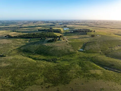 Chacra / Campo 93 ha en Laguna José Ignacio — foto 2
