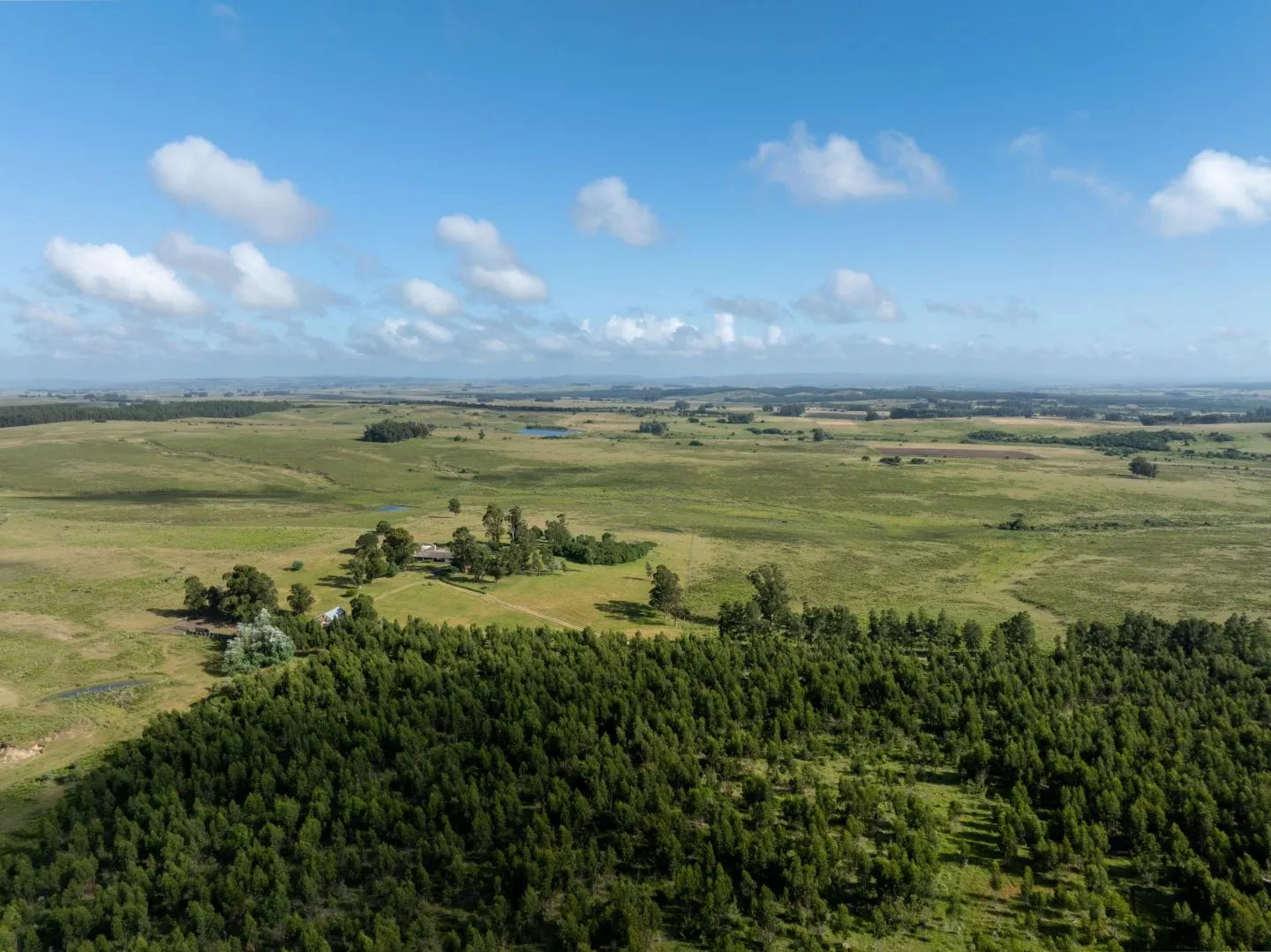 Chacra / Campo 93 ha en Laguna José Ignacio — foto 3