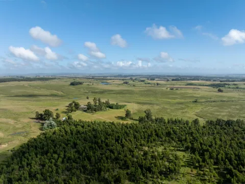 Chacra / Campo 93 ha en Laguna José Ignacio — foto 3