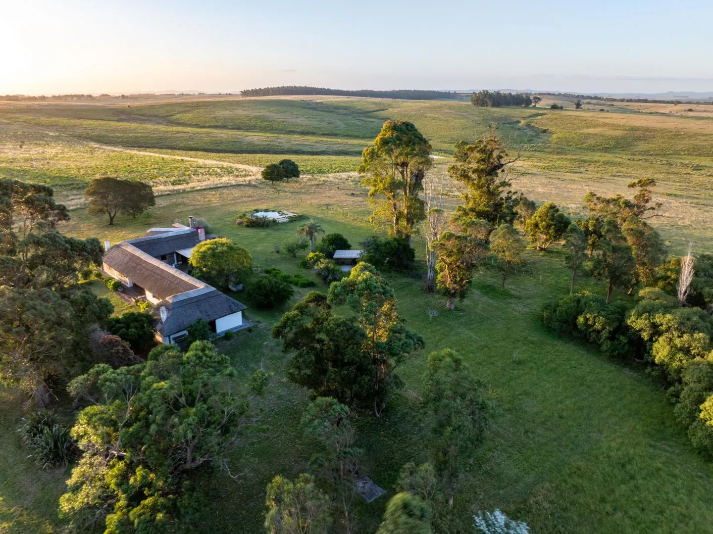 Chacra / Campo 93 ha en Laguna José Ignacio — foto 4