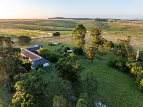 Chacra / Campo 93 ha en Laguna José Ignacio — foto 4