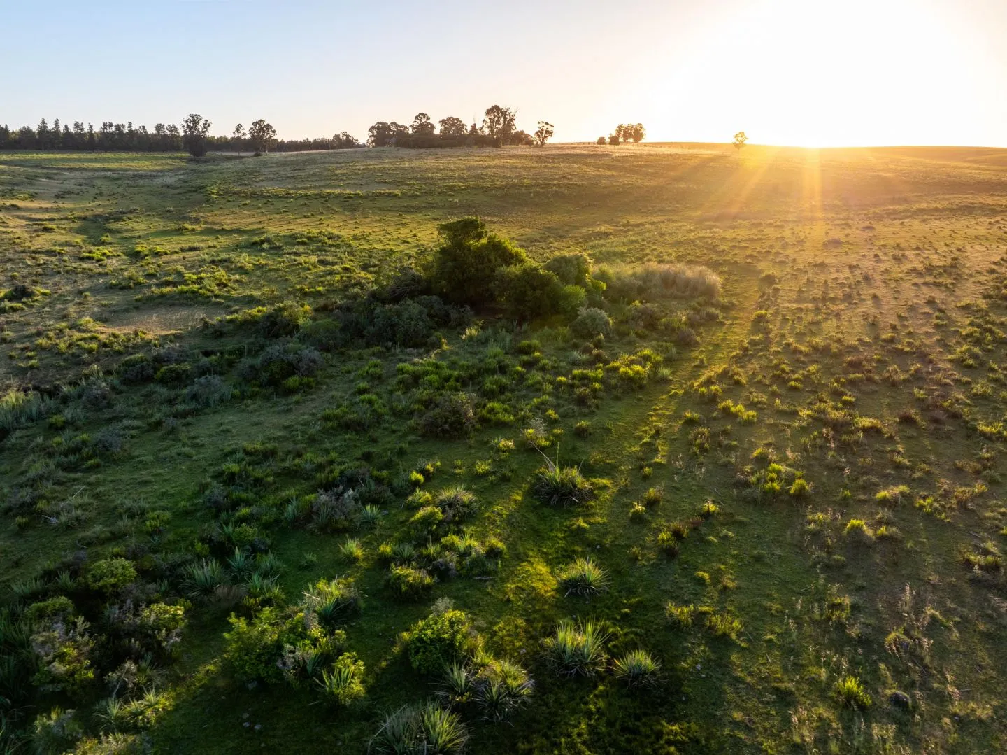 Chacra / Campo 93 ha en Laguna José Ignacio — foto 6
