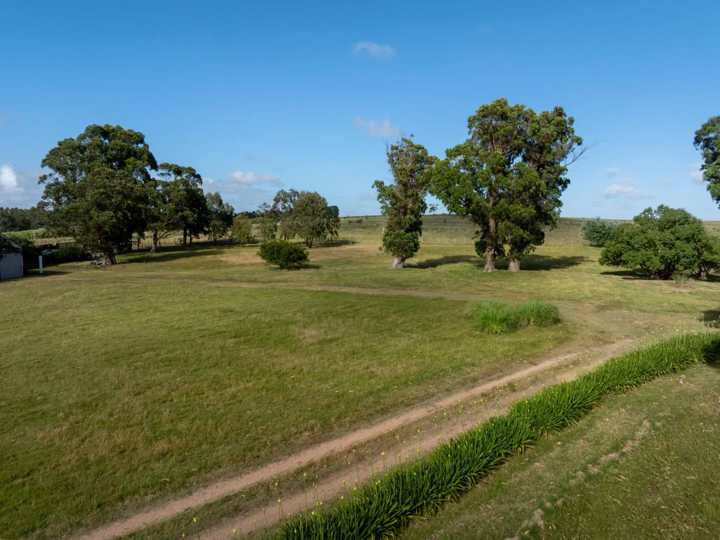 Chacra / Campo 93 ha en Laguna José Ignacio — foto 7
