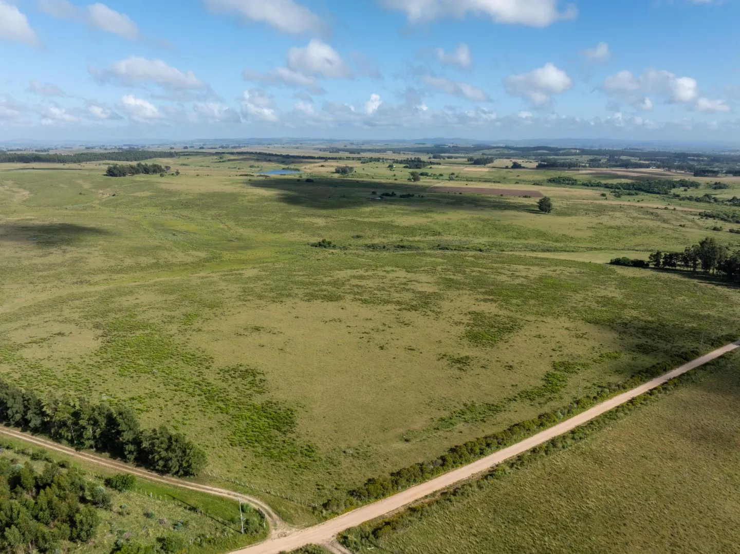 Chacra / Campo 93 ha en Laguna José Ignacio — foto 8
