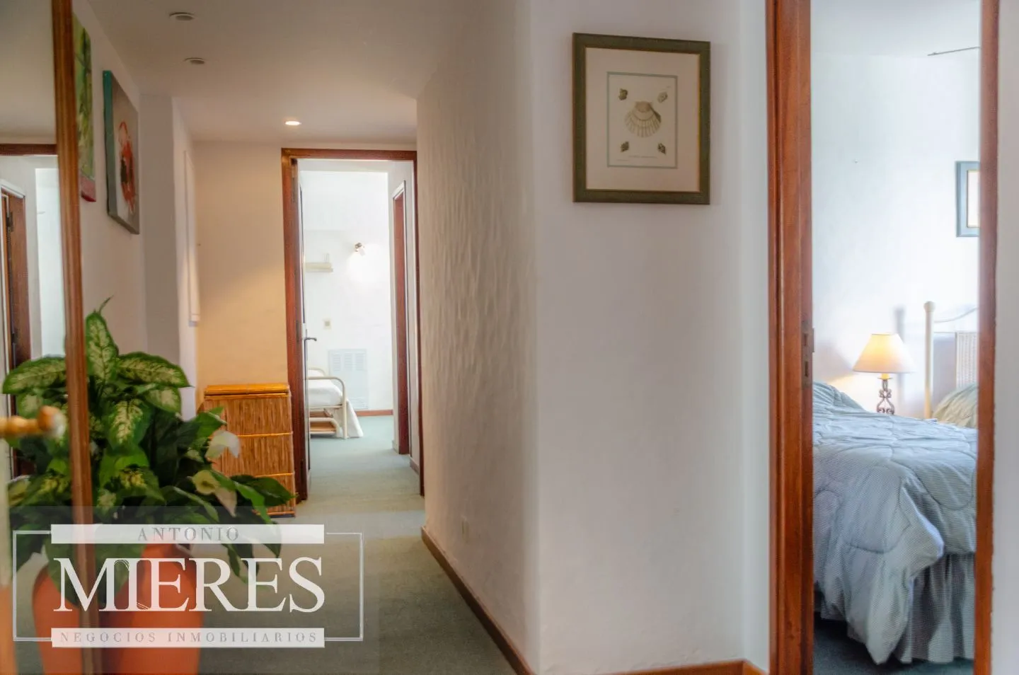 Venta apartamento 4 dormitorios- Puerto — foto 20
