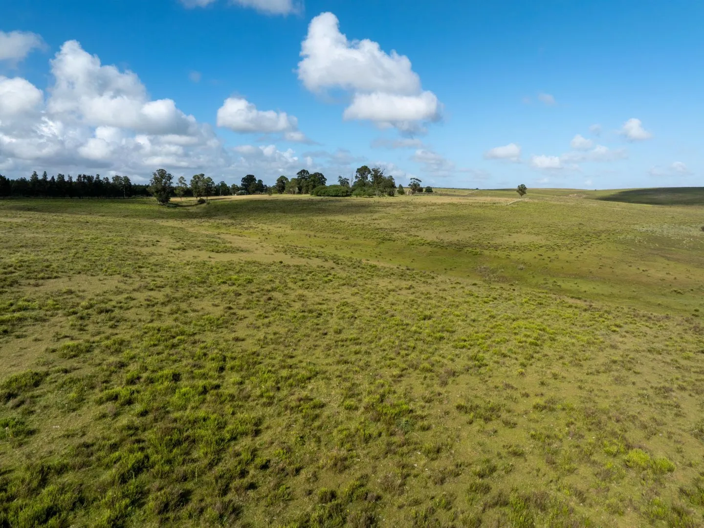 Chacra / Campo 93 ha en Laguna José Ignacio — foto 10