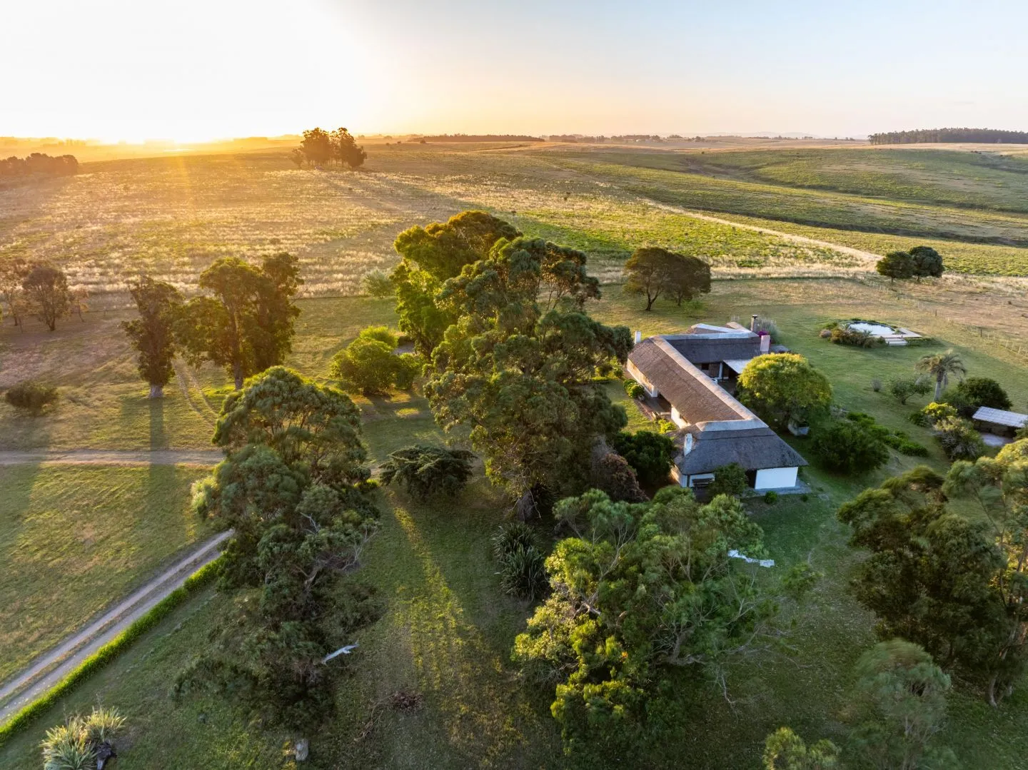 Chacra / Campo 93 ha en Laguna José Ignacio — foto 11