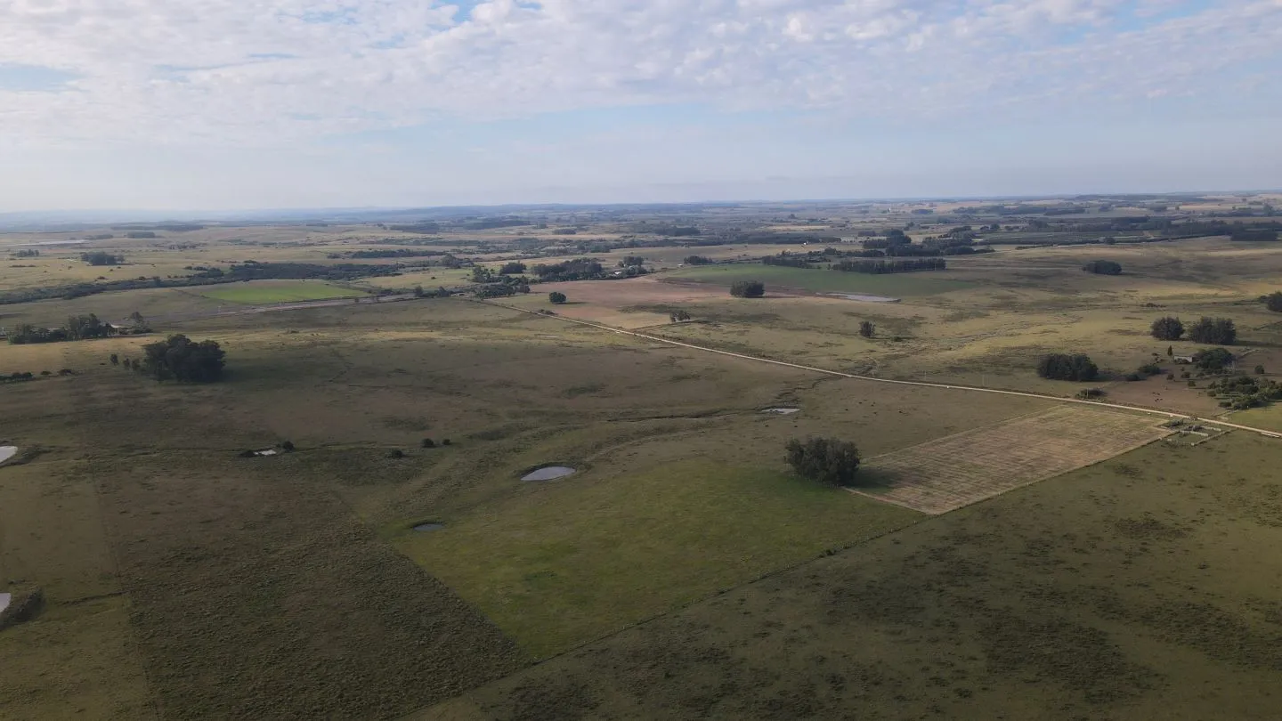 Campo en venta de 21 ha con vista a laguna José Ignacio — foto 4