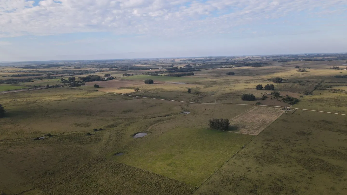 Campo en venta de 21 ha con vista a laguna José Ignacio — foto 5