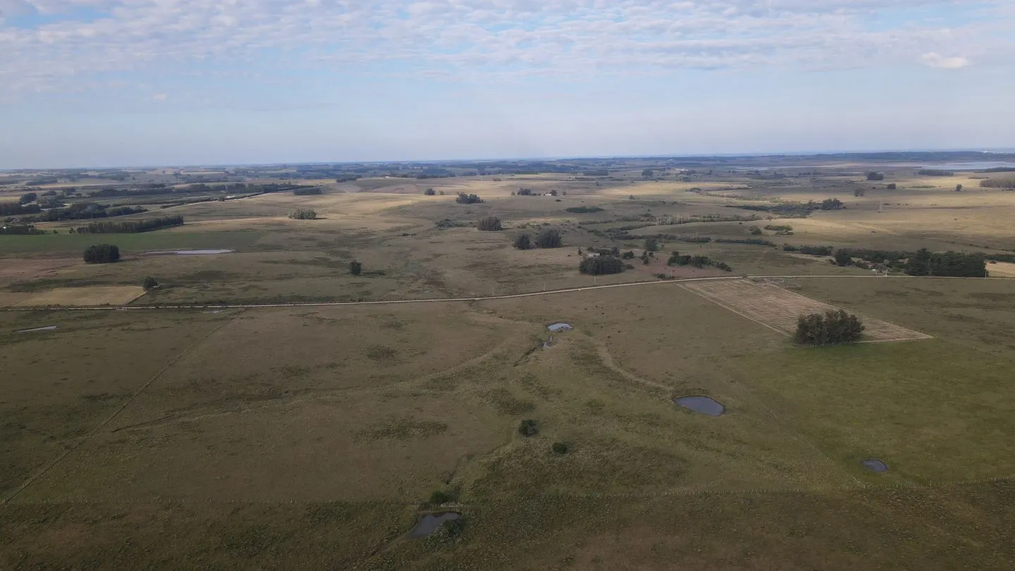 Campo en venta de 21 ha con vista a laguna José Ignacio — foto 6