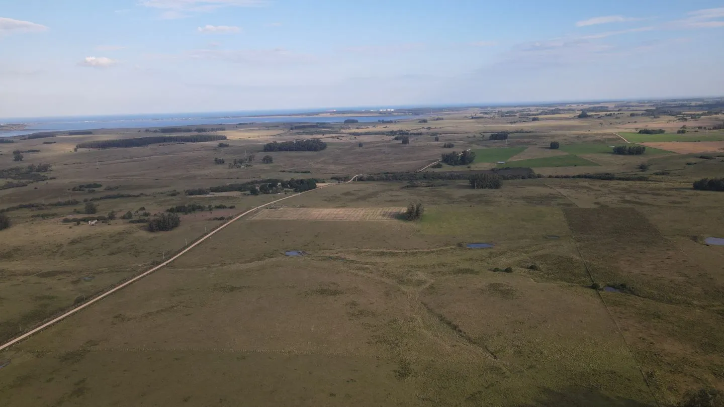 Campo en venta de 21 ha con vista a laguna José Ignacio — foto 7