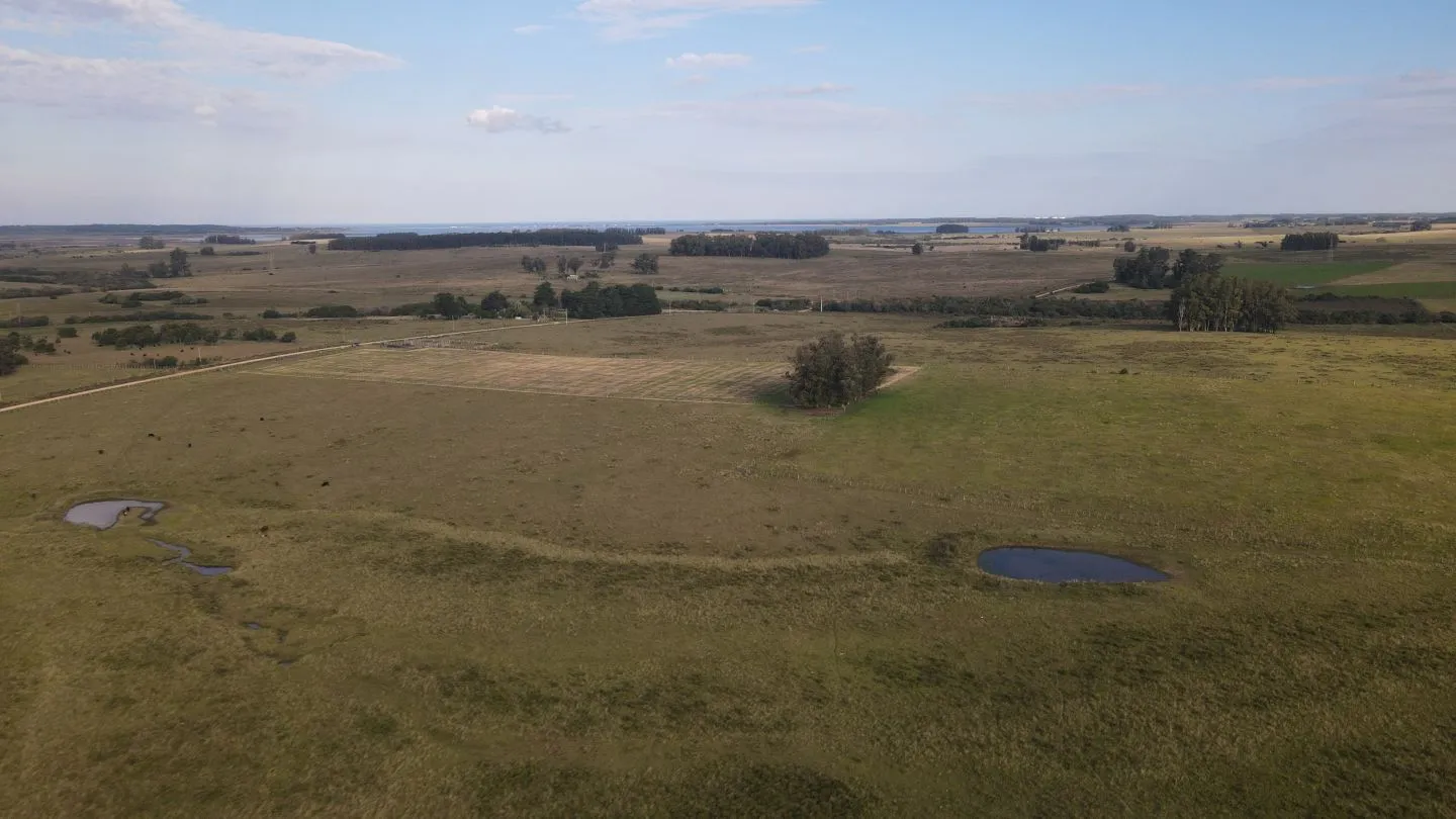 Campo en venta de 21 ha con vista a laguna José Ignacio — foto 9