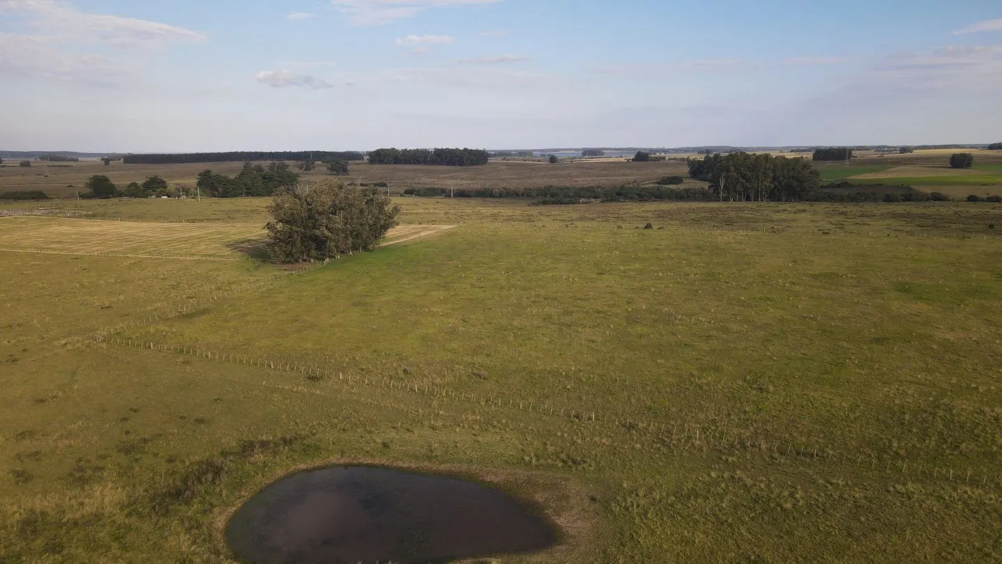 Campo en venta de 21 ha con vista a laguna José Ignacio — foto 10