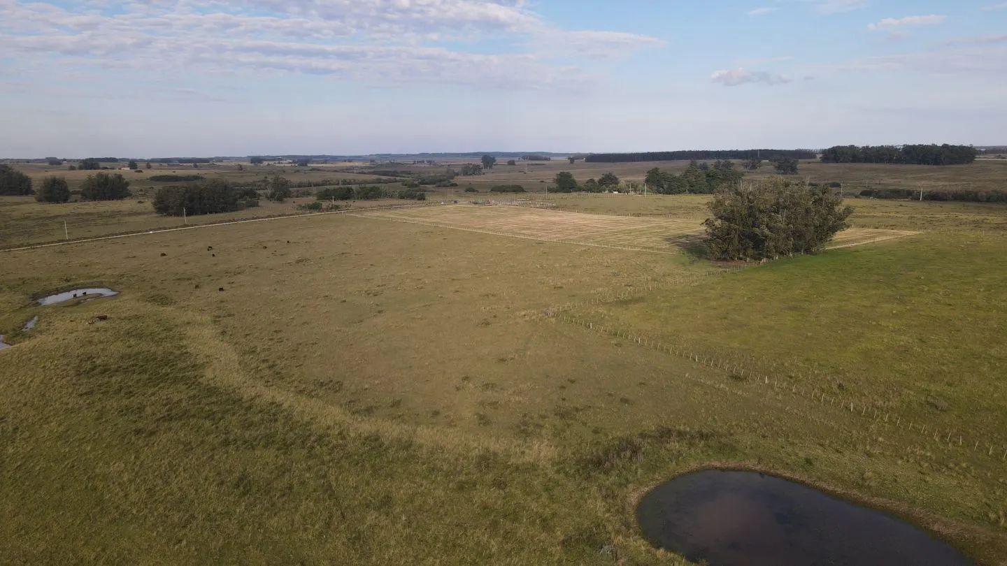 Campo en venta de 21 ha con vista a laguna José Ignacio — foto 11