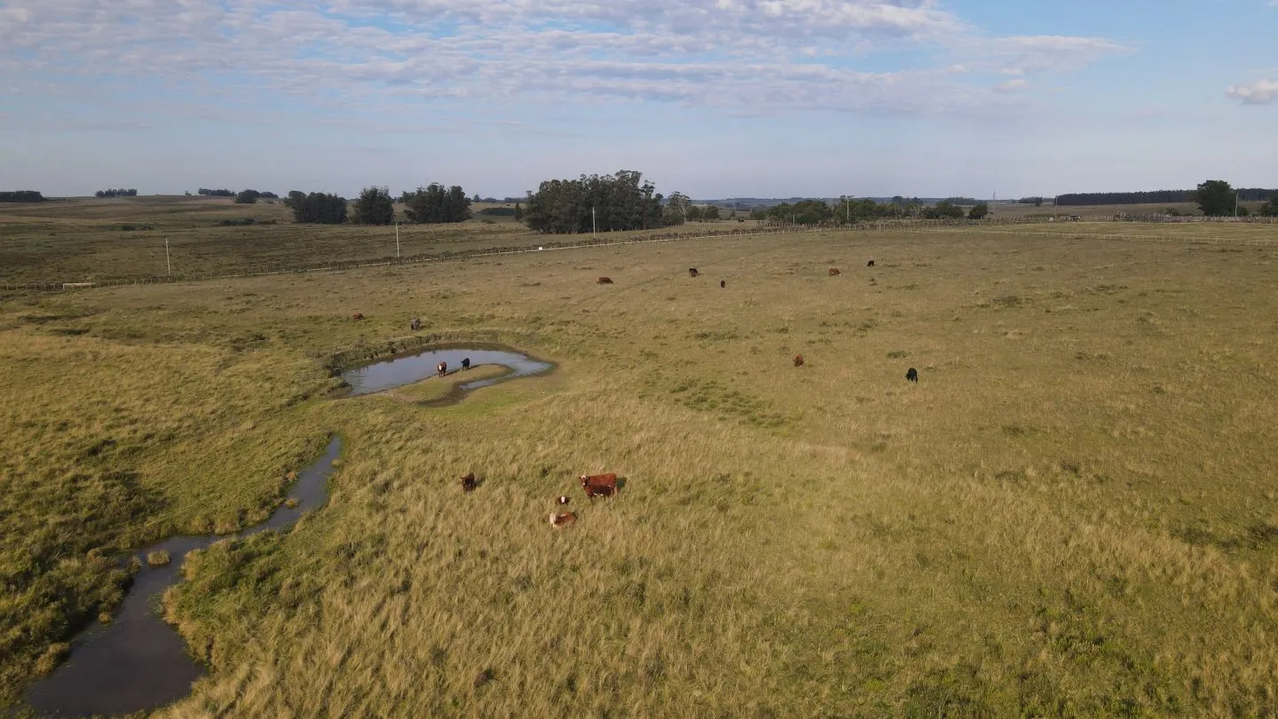 Campo en venta de 21 ha con vista a laguna José Ignacio — foto 12