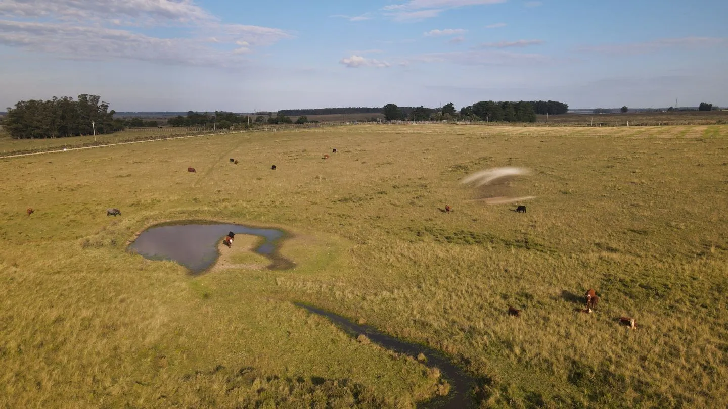 Campo en venta de 21 ha con vista a laguna José Ignacio — foto 13
