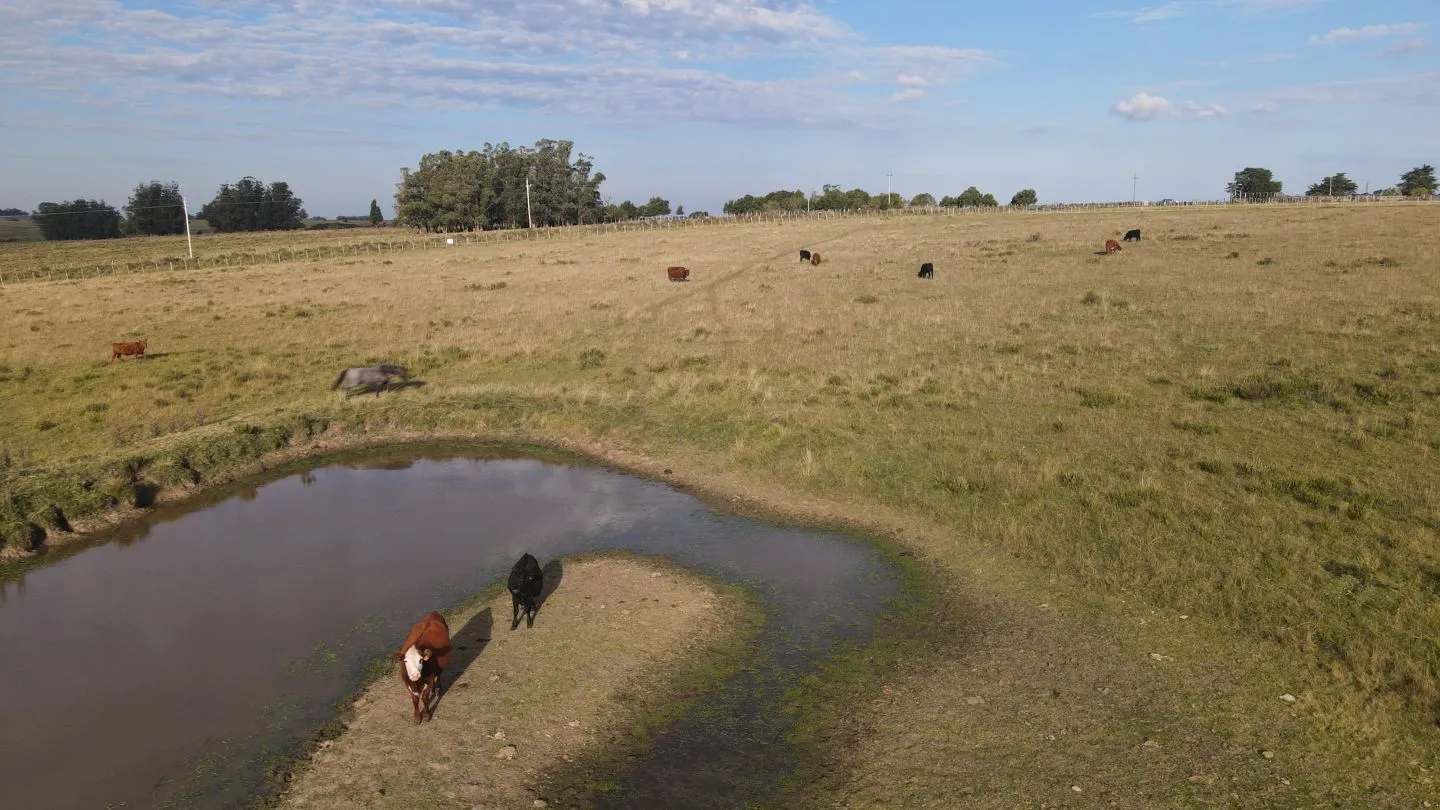 Campo en venta de 21 ha con vista a laguna José Ignacio — foto 14