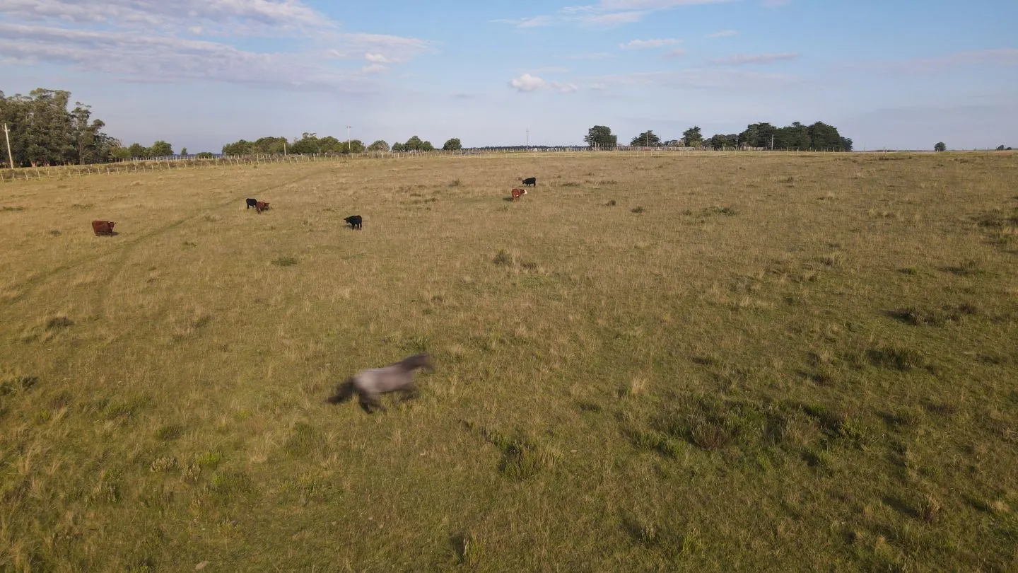 Campo en venta de 21 ha con vista a laguna José Ignacio — foto 15