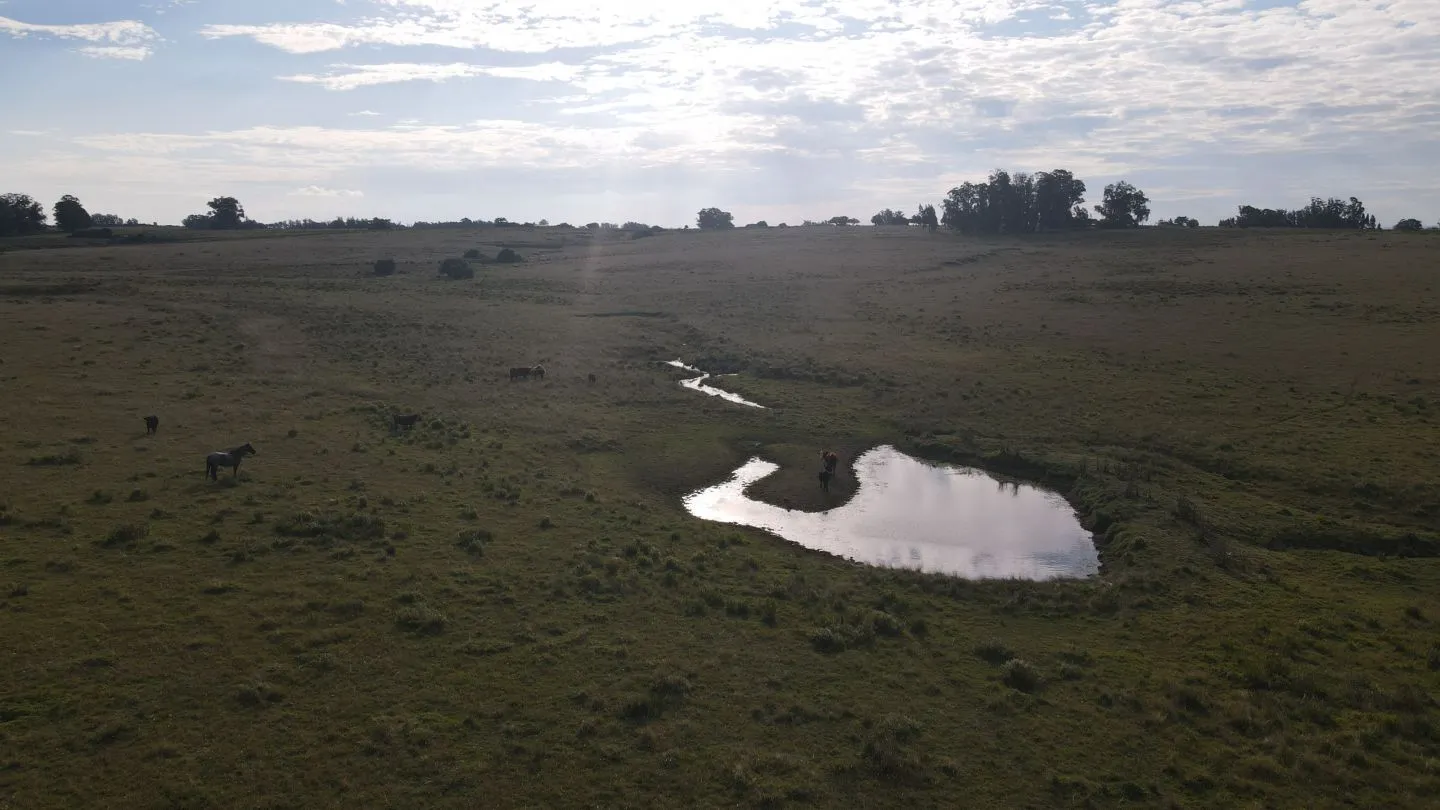 Campo en venta de 21 ha con vista a laguna José Ignacio — foto 16