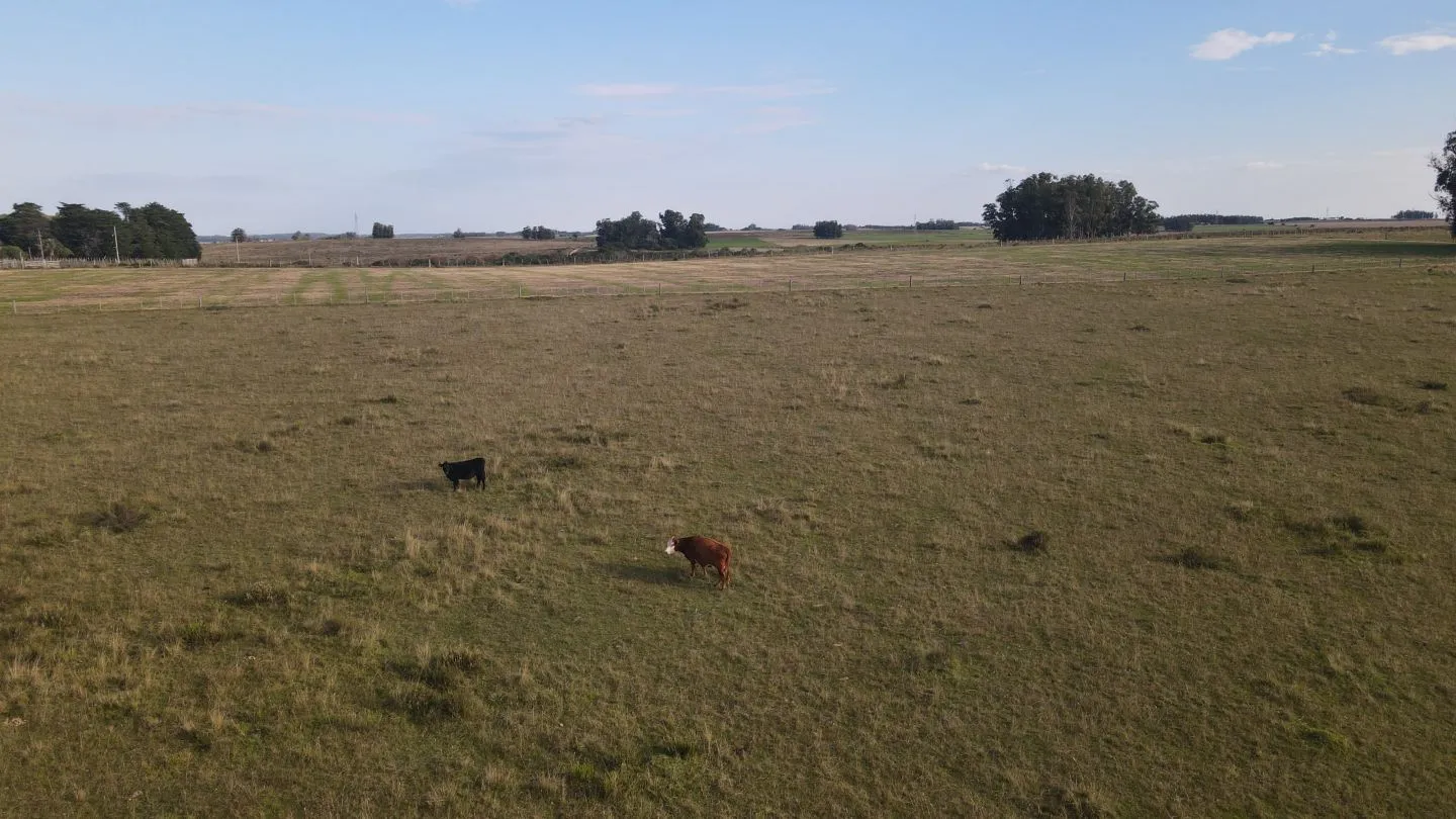 Campo en venta de 21 ha con vista a laguna José Ignacio — foto 17