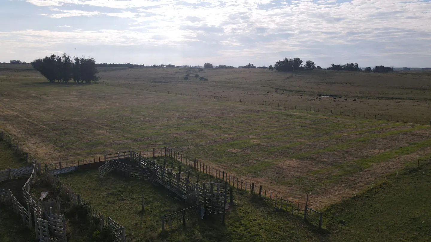 Campo en venta de 21 ha con vista a laguna José Ignacio — foto 18
