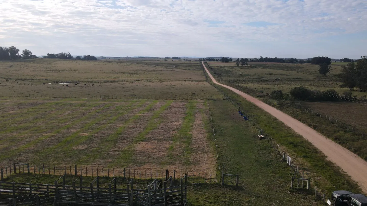 Campo en venta de 21 ha con vista a laguna José Ignacio — foto 19