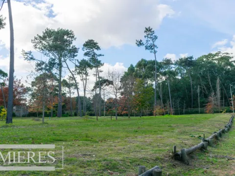 Lotes en venta en Barrio Cerrado- Punta del Este