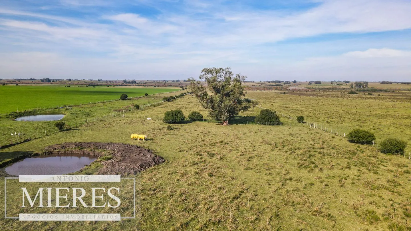 Chacra en venta de 13 ha ubicada en Corte de la Leña — foto 1