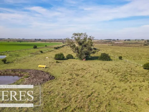 Chacra en venta de 13 ha ubicada en Corte de la Leña
