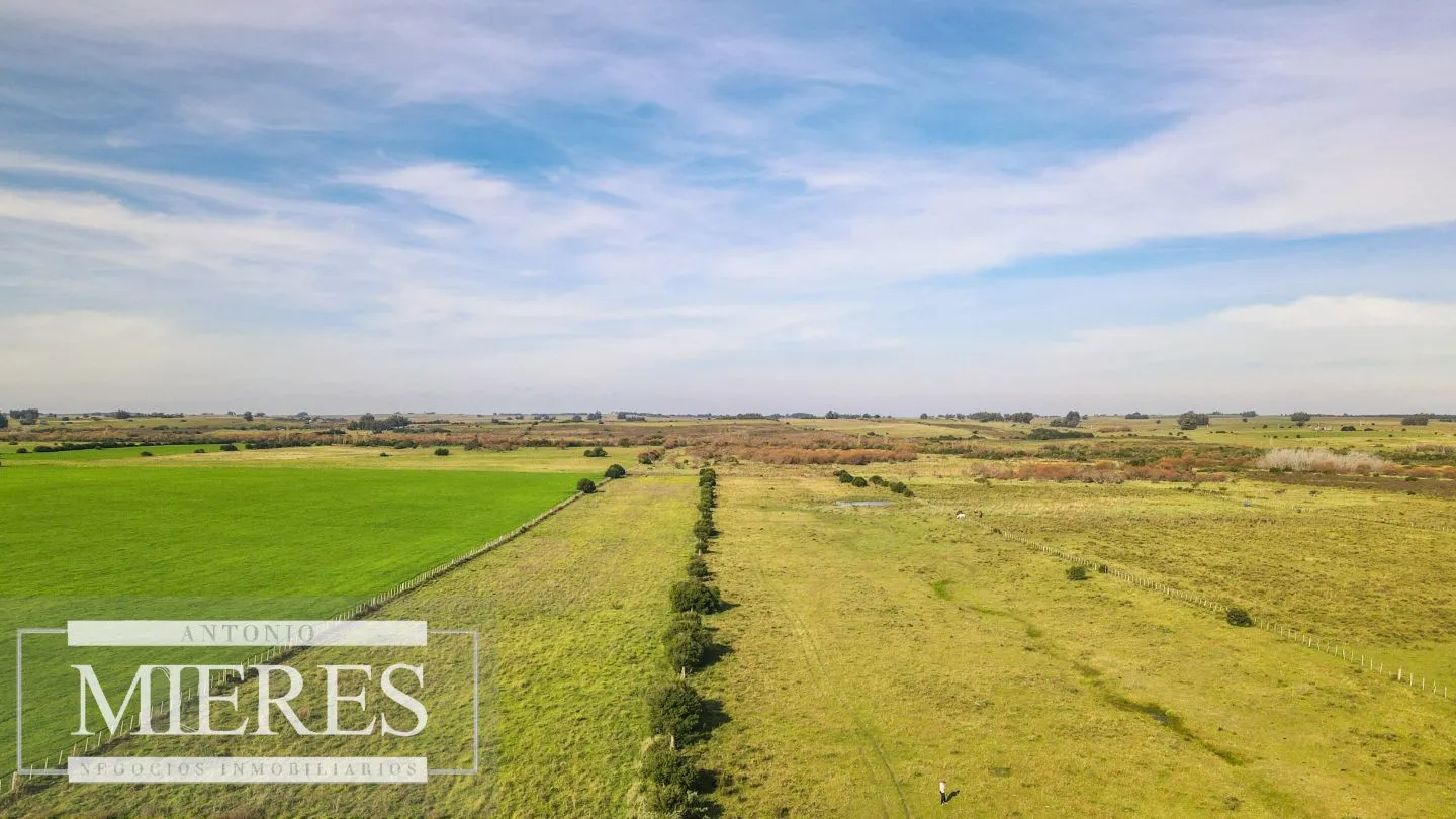 Chacra en venta de 13 ha ubicada en Corte de la Leña — foto 2