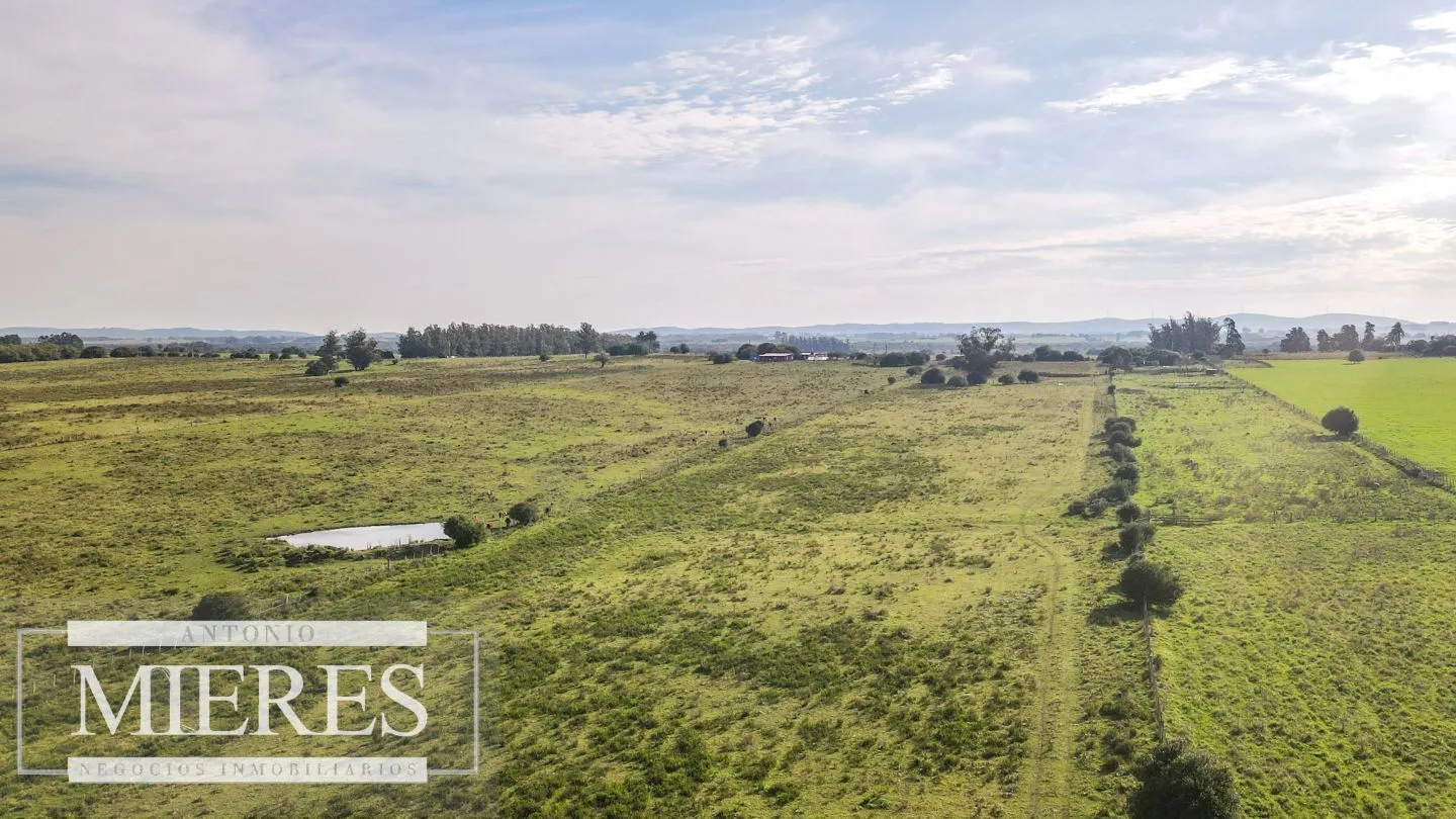 Chacra en venta de 13 ha ubicada en Corte de la Leña — foto 3