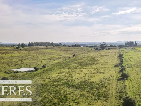 Chacra en venta de 13 ha ubicada en Corte de la Leña — foto 3