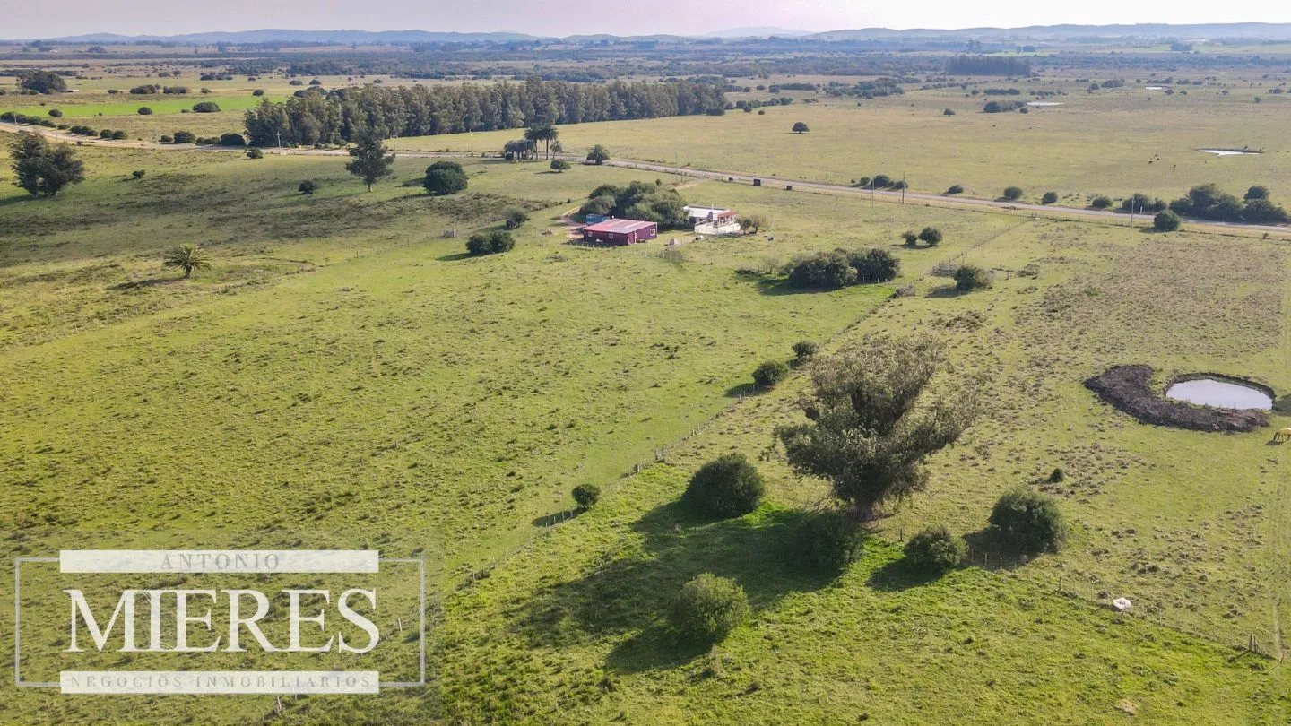 Chacra en venta de 13 ha ubicada en Corte de la Leña — foto 4
