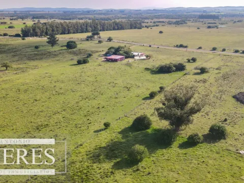 Chacra en venta de 13 ha ubicada en Corte de la Leña — foto 4