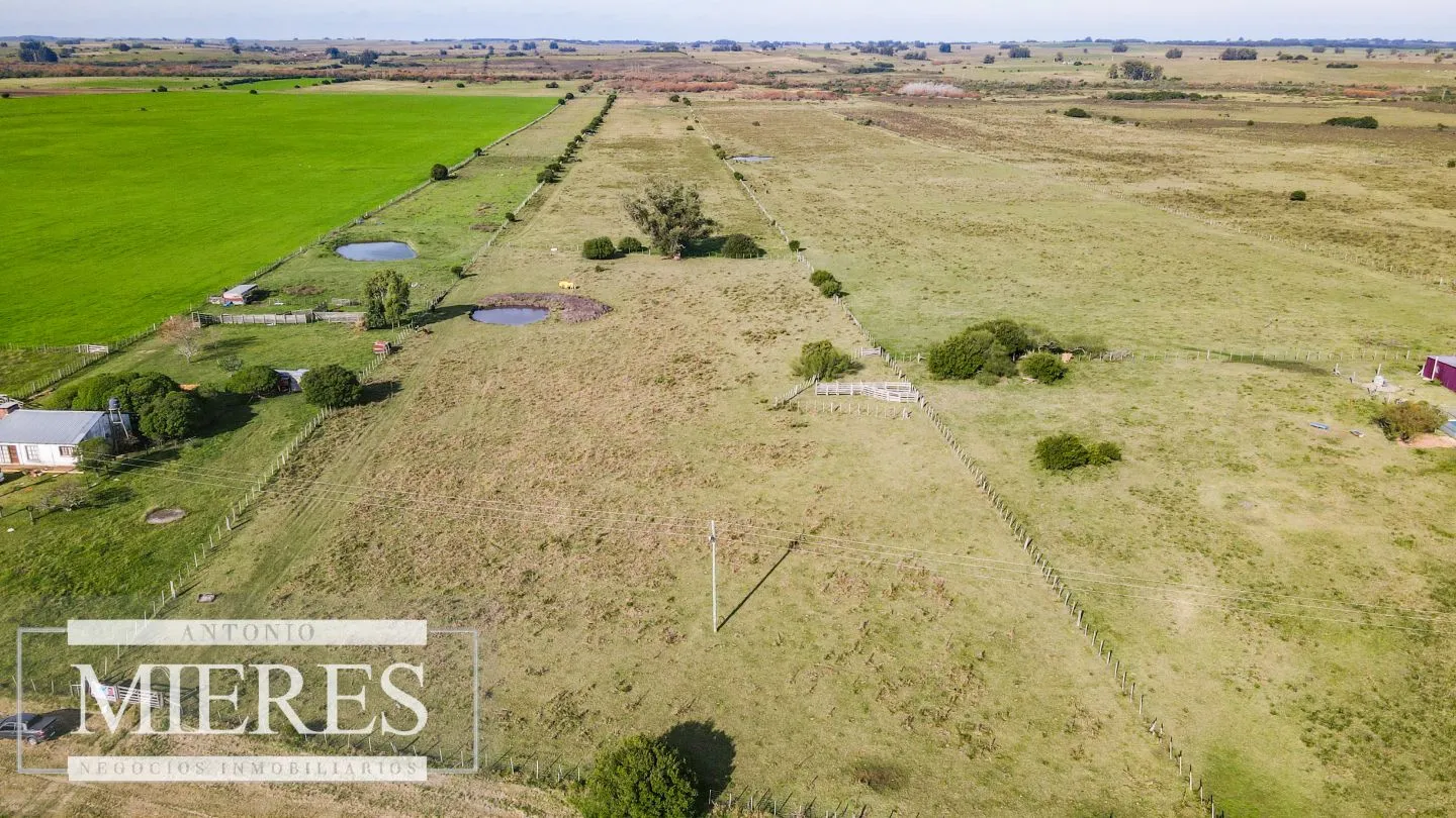 Chacra en venta de 13 ha ubicada en Corte de la Leña — foto 5