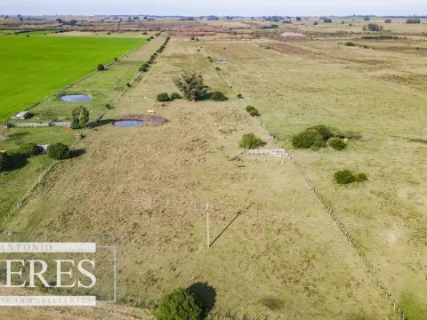 Chacra en venta de 13 ha ubicada en Corte de la Leña — foto 5