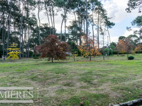 Lotes en venta en Barrio Cerrado- Punta del Este — foto 5