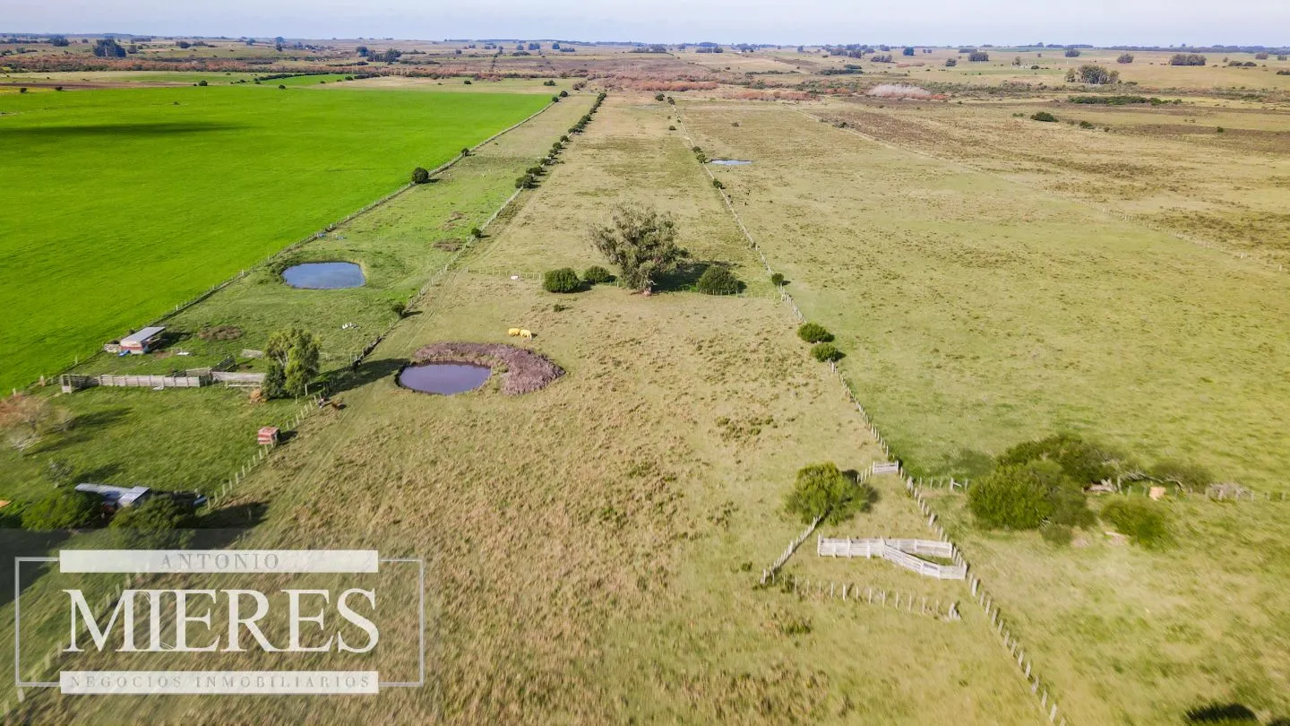 Chacra en venta de 13 ha ubicada en Corte de la Leña — foto 8