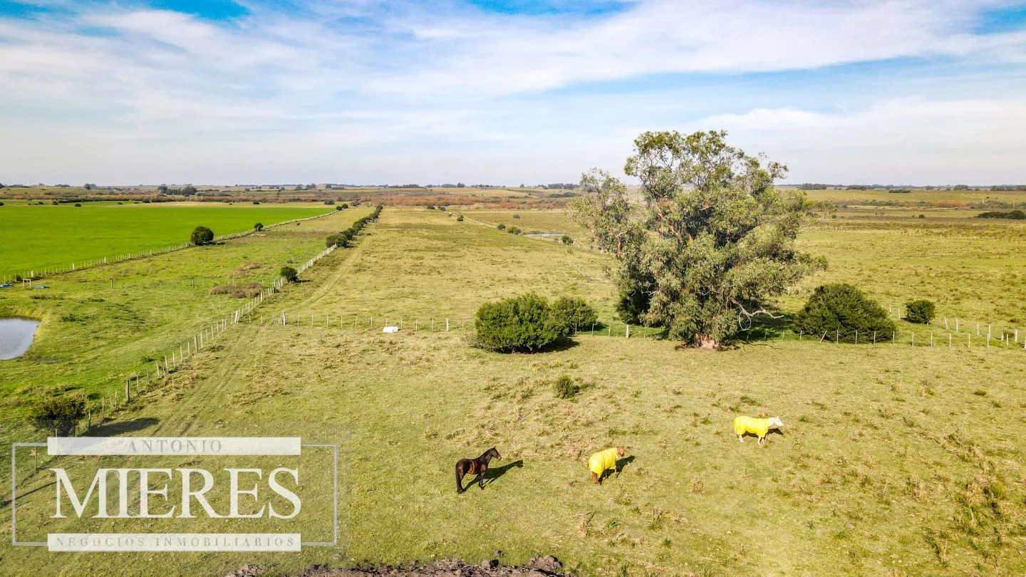 Chacra en venta de 13 ha ubicada en Corte de la Leña — foto 10