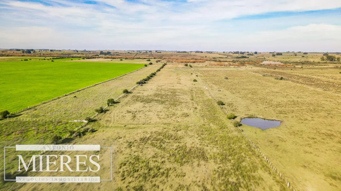 Chacra en venta de 13 ha ubicada en Corte de la Leña — foto 11