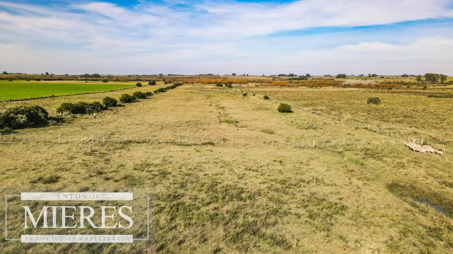 Chacra en venta de 13 ha ubicada en Corte de la Leña — foto 12