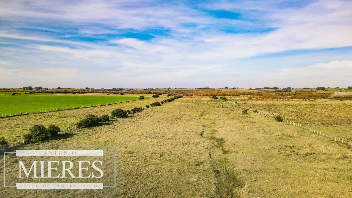 Chacra en venta de 13 ha ubicada en Corte de la Leña — foto 13