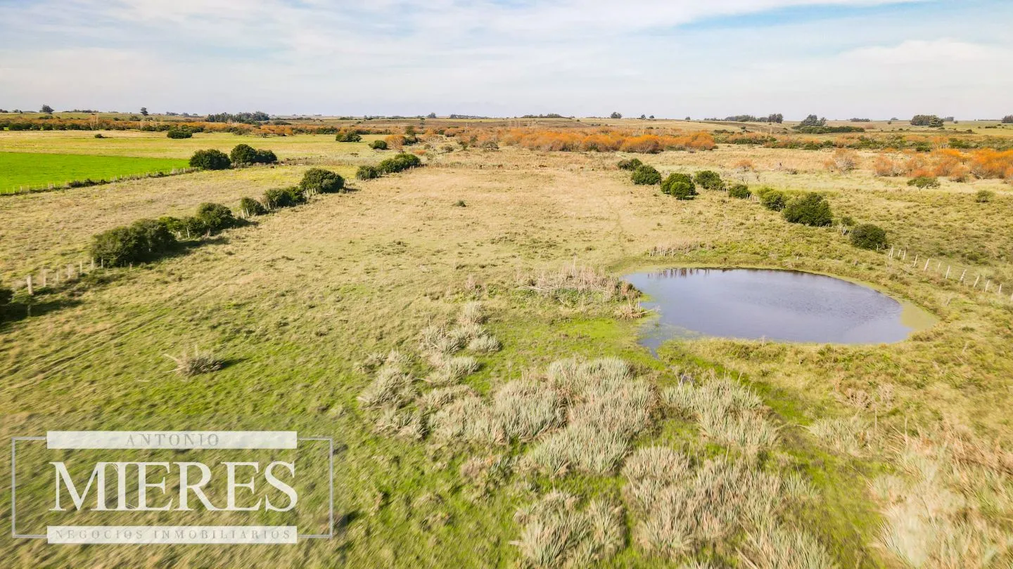 Chacra en venta de 13 ha ubicada en Corte de la Leña — foto 14