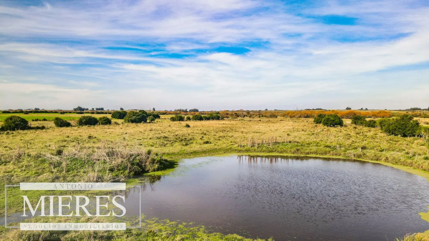 Chacra en venta de 13 ha ubicada en Corte de la Leña — foto 16