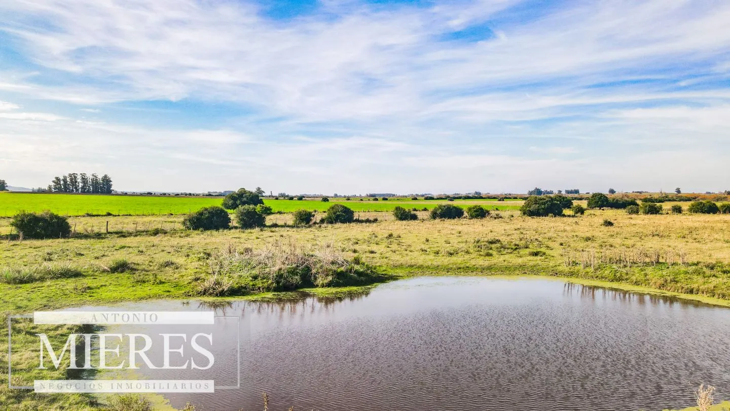 Chacra en venta de 13 ha ubicada en Corte de la Leña — foto 17