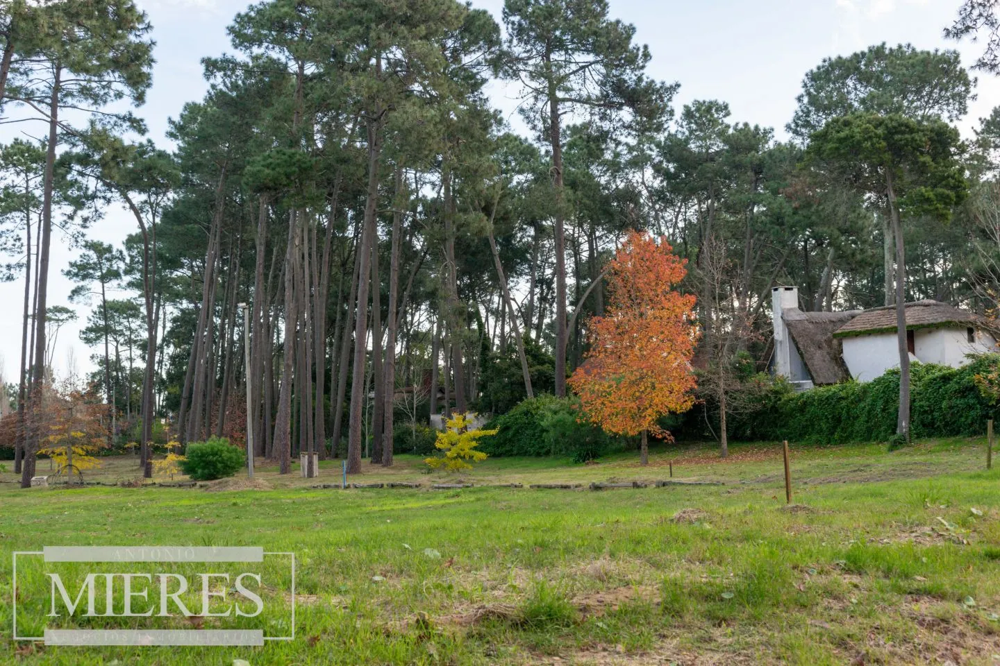 Lotes en venta en Barrio Cerrado- Punta del Este — foto 15