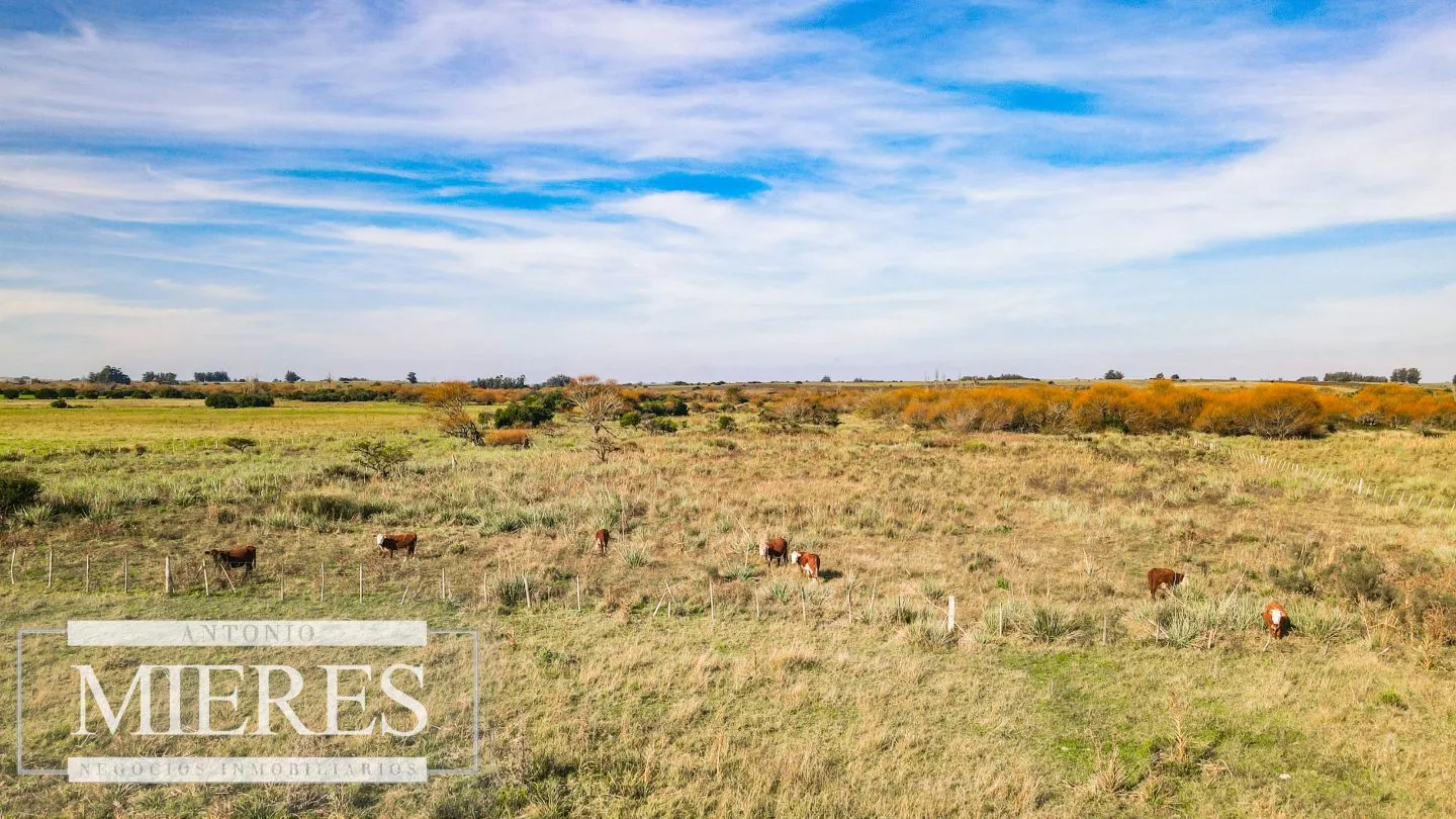 Chacra en venta de 13 ha ubicada en Corte de la Leña — foto 19