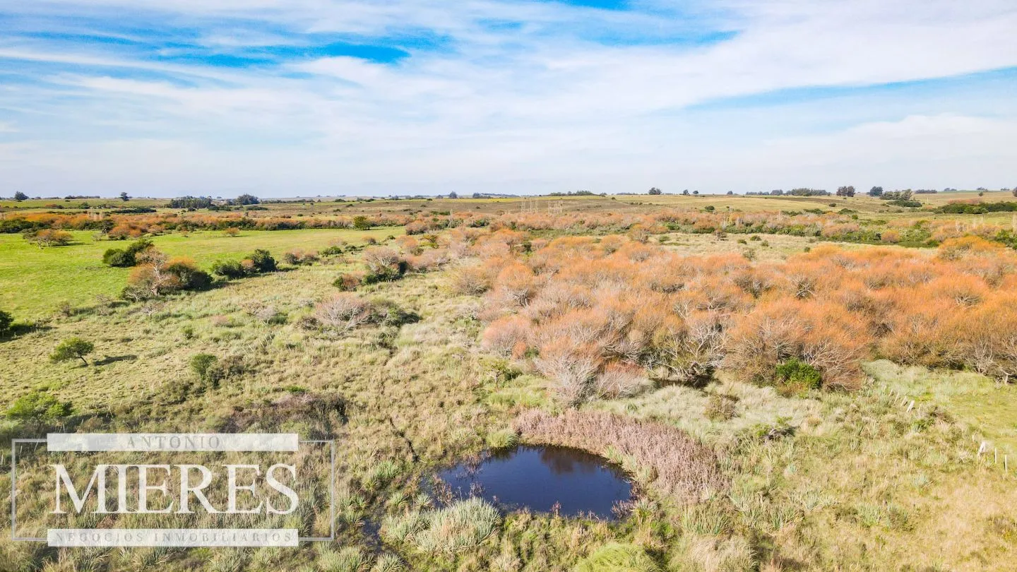 Chacra en venta de 13 ha ubicada en Corte de la Leña — foto 20